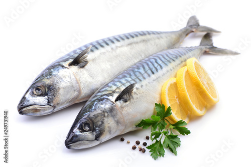 Mackerel fish on white background