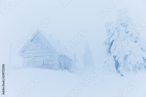 Alps in a extremely cold and frosty winter conditions. Extreme cold and deep snow, strong snowstorm. Foggy winter weather. Old frost covered country house surrounded by snowy trees. Christmas time © Michal
