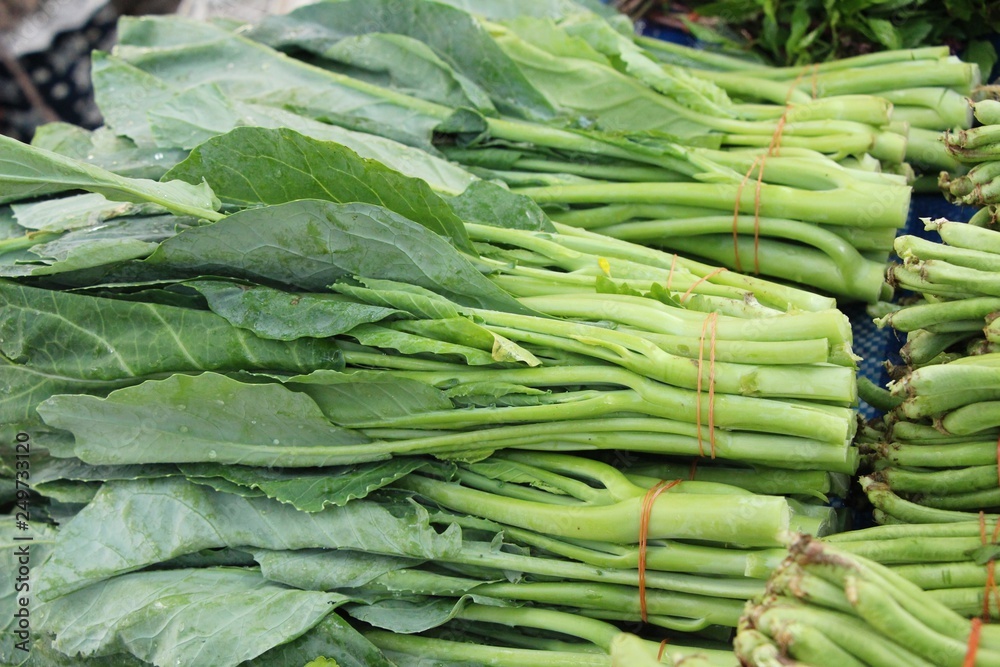 chinese kale for cooking at street food chinese kale for cooking at street food