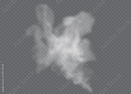 Transparent special effect stands out with fog or smoke. White cloud vector, fog or smog.