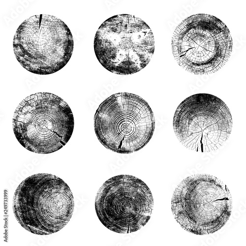 Set of tree rings background. For your design conceptual graphics. Vector illustration. Isolated on white background.
