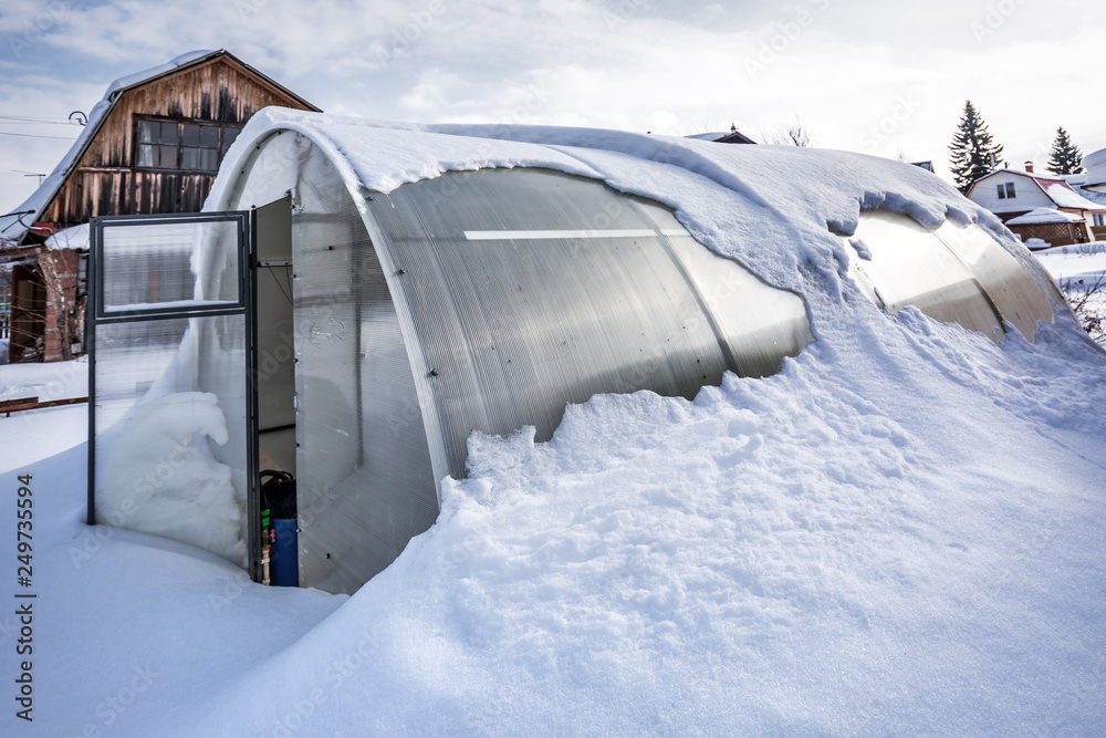 Polycarbonate greenhouse in winter. Western Siberia Polycarbonate greenhouse in winter. Western Siberia