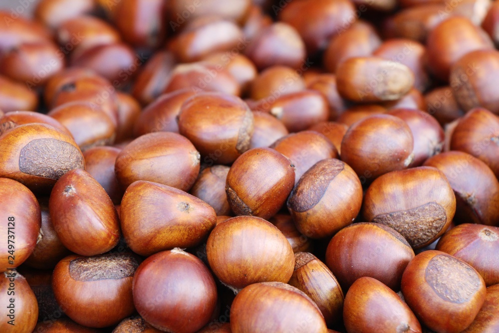 Roasted chestnuts is delicious at street food Roasted chestnuts is delicious at street food
