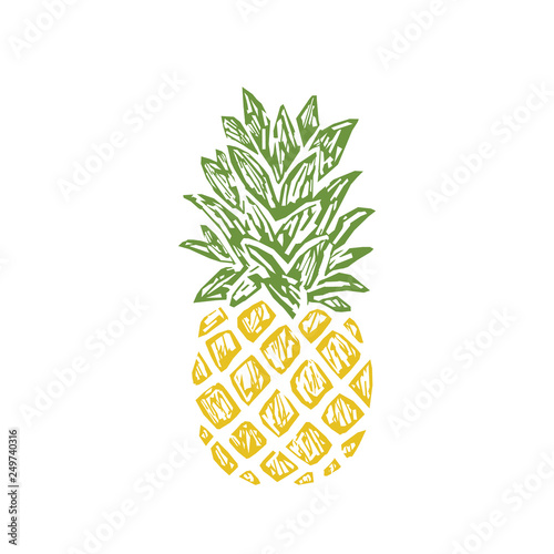 Modern Pineapple Shape. Exotic Tropical Summer Fruit.
