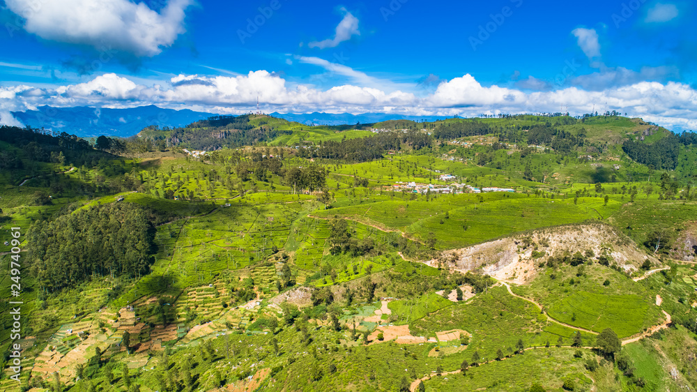 Aerial. Famous green tea plantation landscape view from Lipton's Seat, Haputale, Sri Lanka.