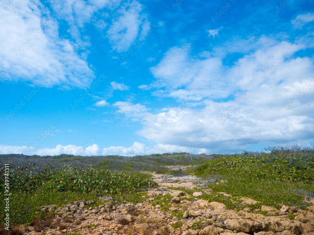 A beautiful day on the walking trails of Guanica Reserve in Puerto Rico, USA A beautiful day on the walking trails of Guanica Reserve in Puerto Rico, USA