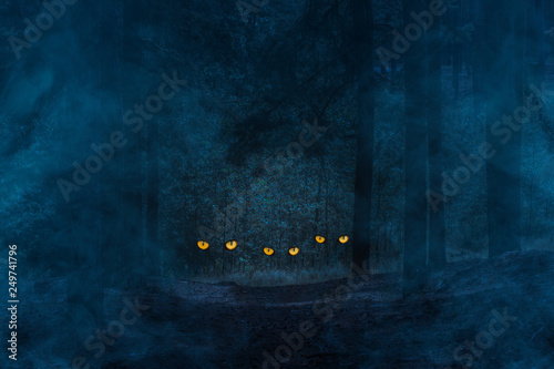 mysterious orange eyes of wild animals sparkle in the night coniferous forest covered with blue mist © Oleg