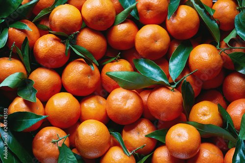 Fresh tangerines with stems and leaves, for sale at market.