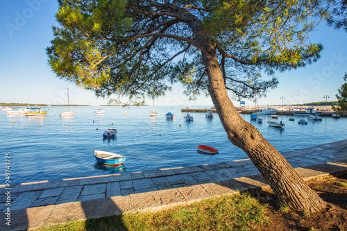 Promenade morgens am Hafen von Fazana