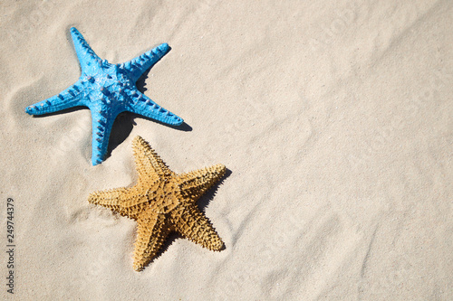 Blue and red starfish on sandy beach