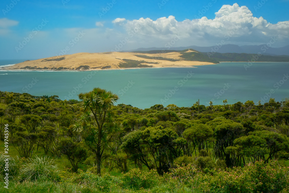 Panoramic view of Hokianga Harbour and river in summer, North Island, New Zealand