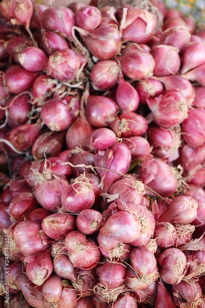 Onions and shallots for cooking at market Onions and shallots for cooking at market