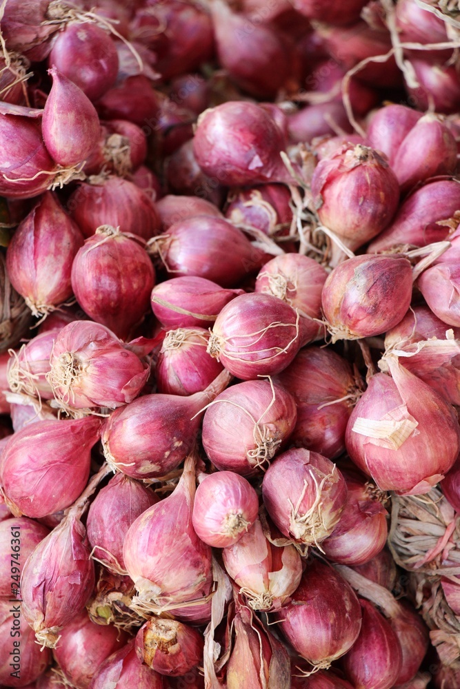 Onions and shallots for cooking at market Onions and shallots for cooking at market