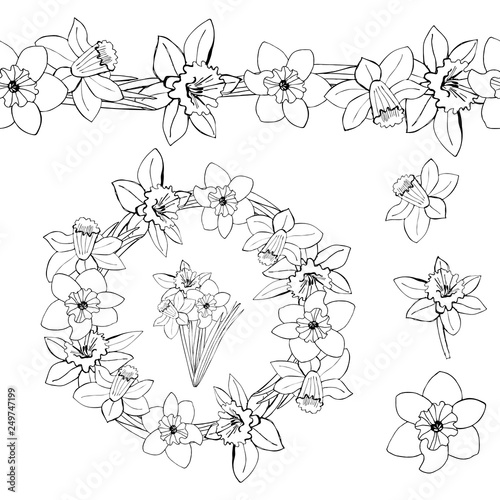 Monochrome wreath, endless brush, buds and bouquet of spring flowers  with leaves isolated on white background. Hand drawn ink sketch with narcissus.