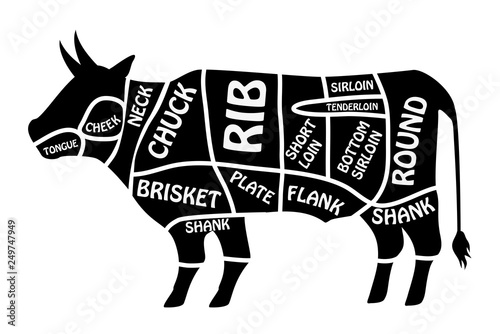 Beef chart. Poster Butcher diagram for groceries, meat stores, butcher shop. Segmented cow silhouette vector illustration.