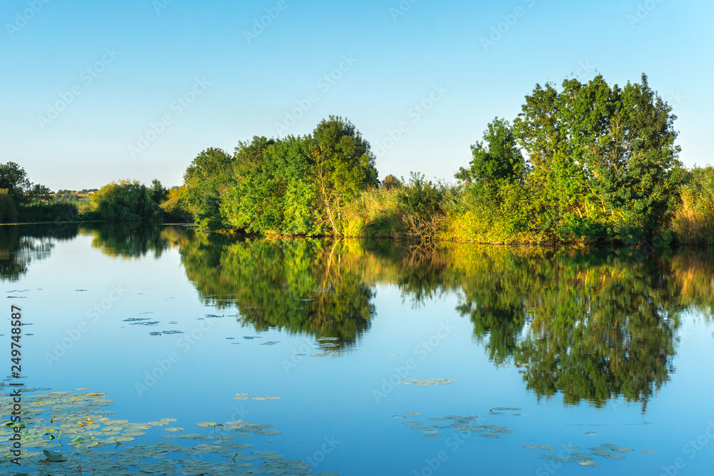 Obraz premium Calm landscape with trees, reflecting in the water
