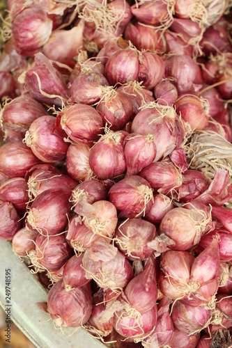 Onions and shallots for cooking at market