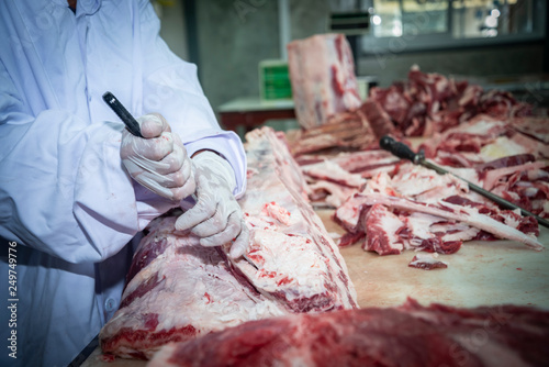 The butcher runs the butcher's knife to cut the beef. In Thai slaughterhouse in Sakon Nakhon province photo