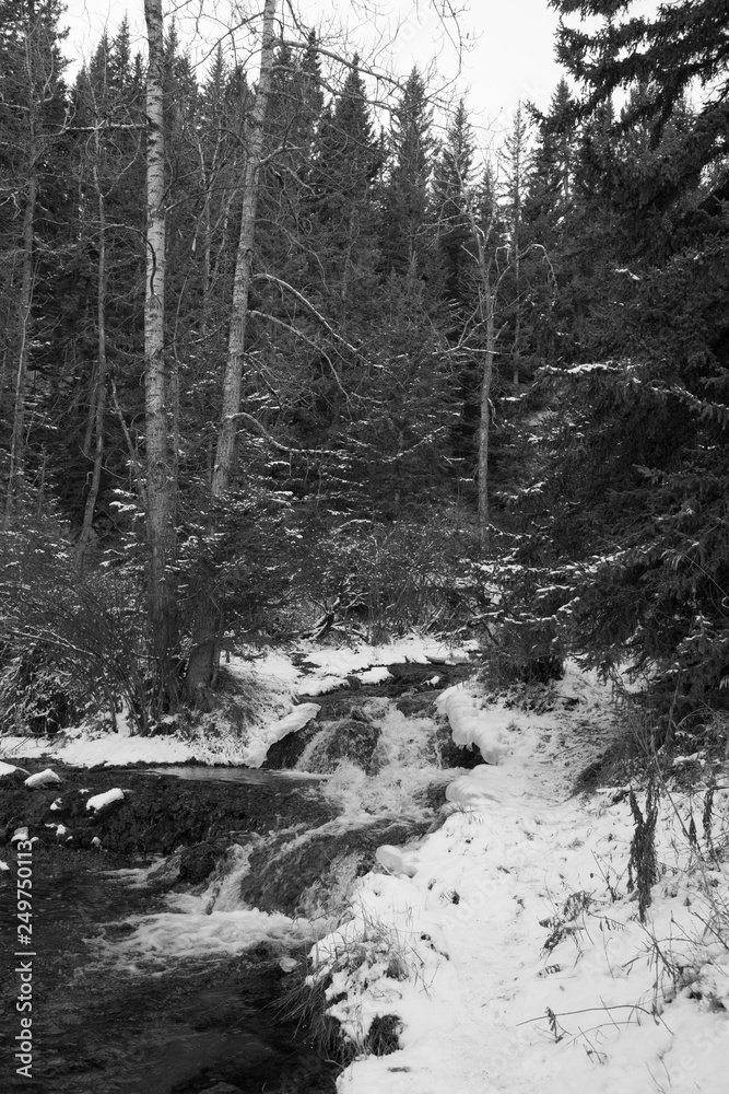 Big Hill Spring Big Hill Spring