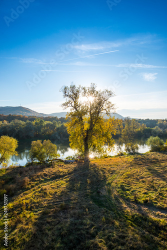 Fototapeta Naklejka Na Ścianę i Meble -  Autumn landscape on the river