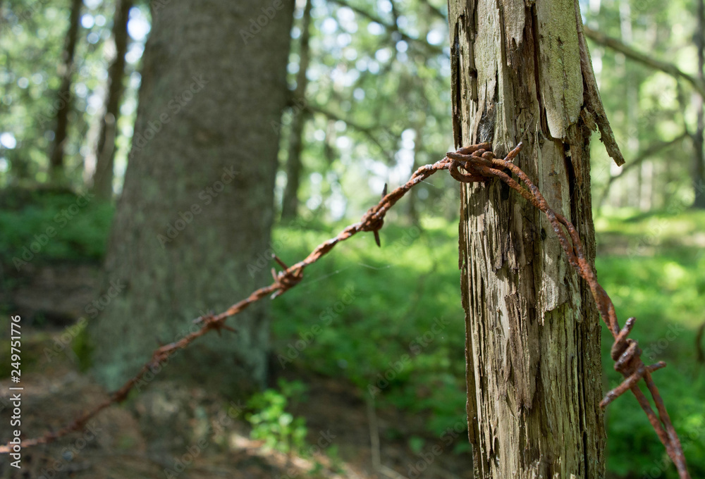Rusty barb wire Rusty barb wire