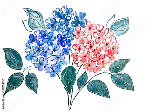 Hydrangea isolated watercolor illustration