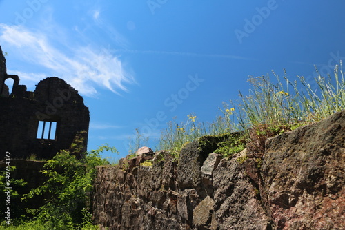 Old castle wall with flowers