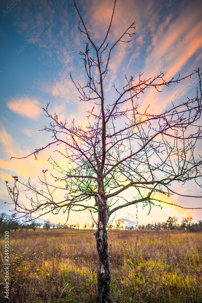 Autumn landscape at the sunset