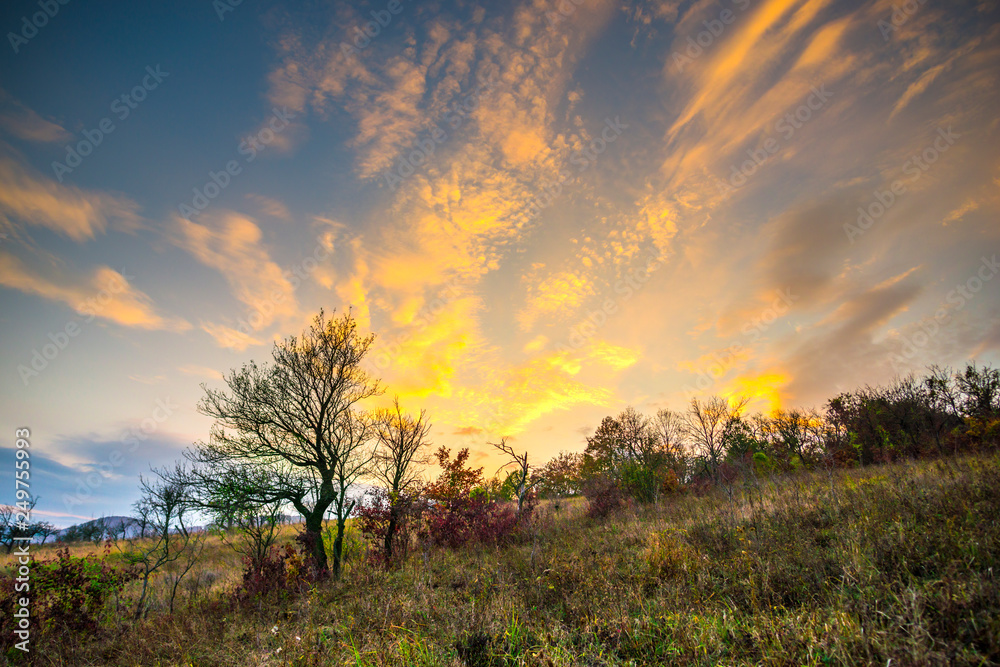 Obraz premium Autumn landscape at the sunset