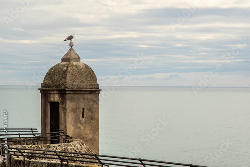 Seagull and a watchtower