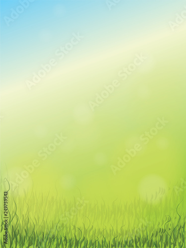 Spring background with sky and grass