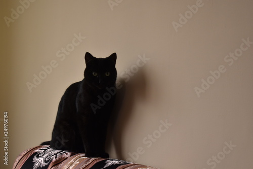 Fotografia Shuri