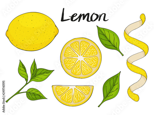 Collection of hand drawn elements, yellow lemon, green leaves and slice. Objects for packaging, advertisements. Isolated image. Vector illustration.