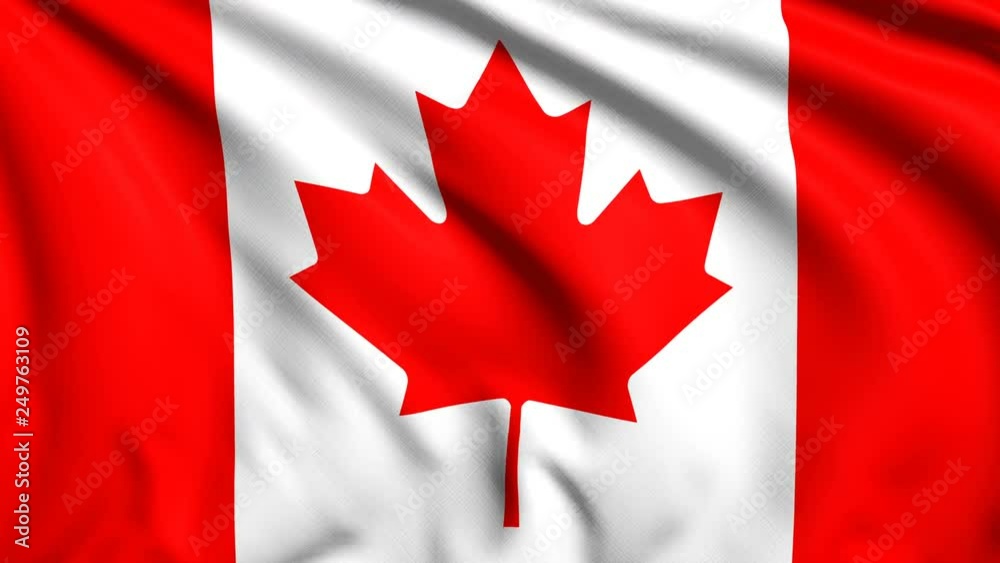Canadian flag with fabric structure in the wind (loopable) Canadian flag with fabric structure in the wind (loopable)