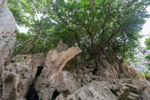 巨石とジャングル © makieni