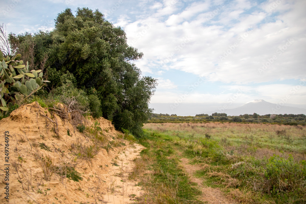 Fotografie Sicilian Farmland