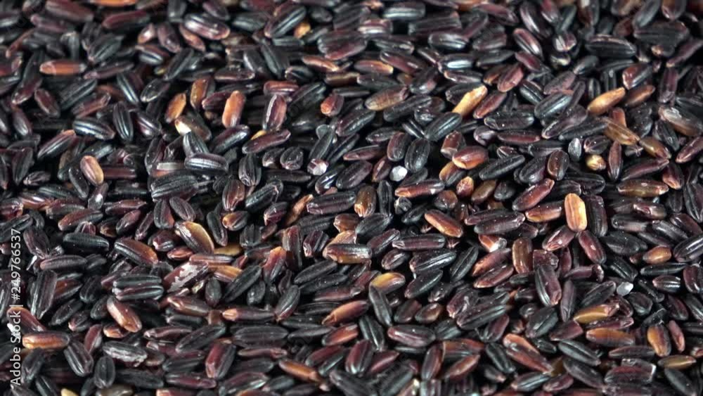 Organic japonica rice close up spinning video Organic japonica rice close up spinning video