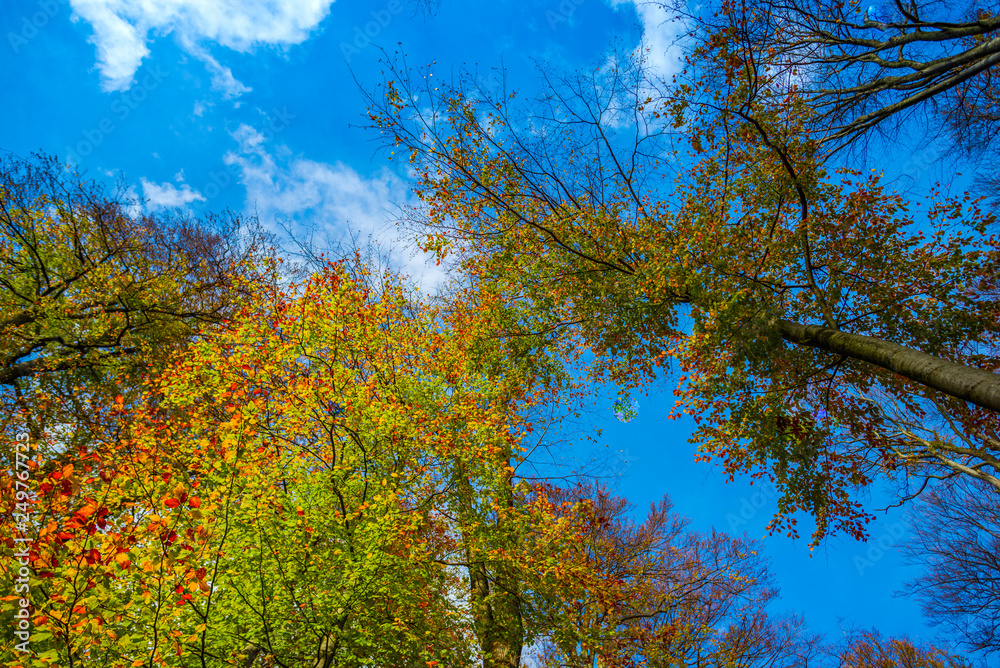 Autumn landscape Autumn landscape