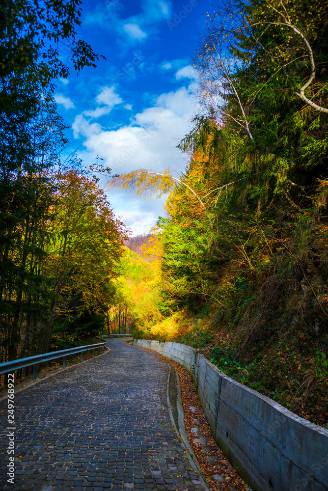 Autumn landscape