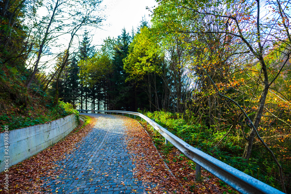 Autumn landscape