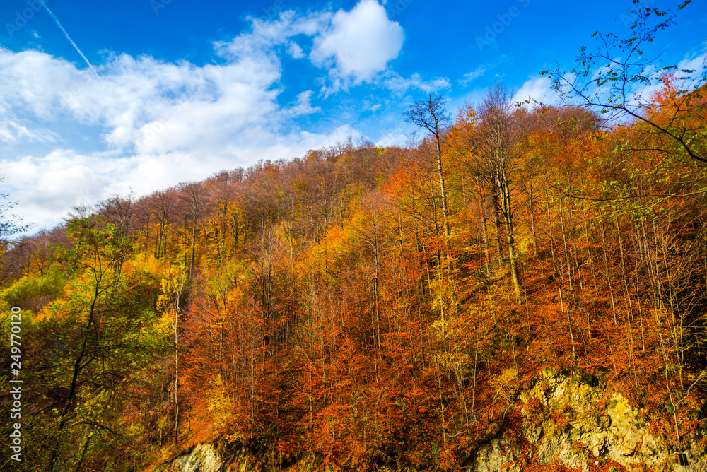 Autumn landscape