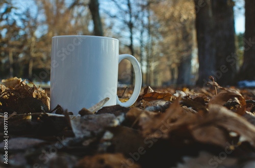 A close up of a blank white coffee cup on the ground in the park of the cold winter season. 