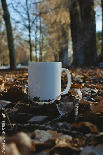A single coffee mug on the dirty leaf filled park floor in the trees. 
