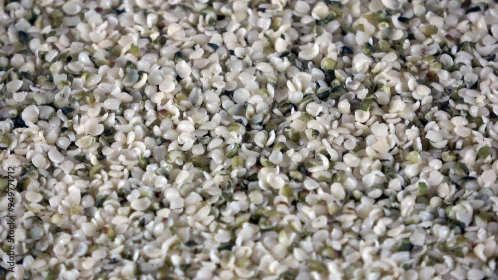 Organic hemp hearts close up spinning video Organic hemp hearts close up spinning video