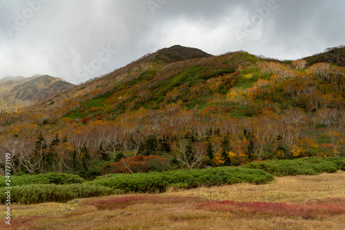 Tsugaike Nature Park in autumn photo