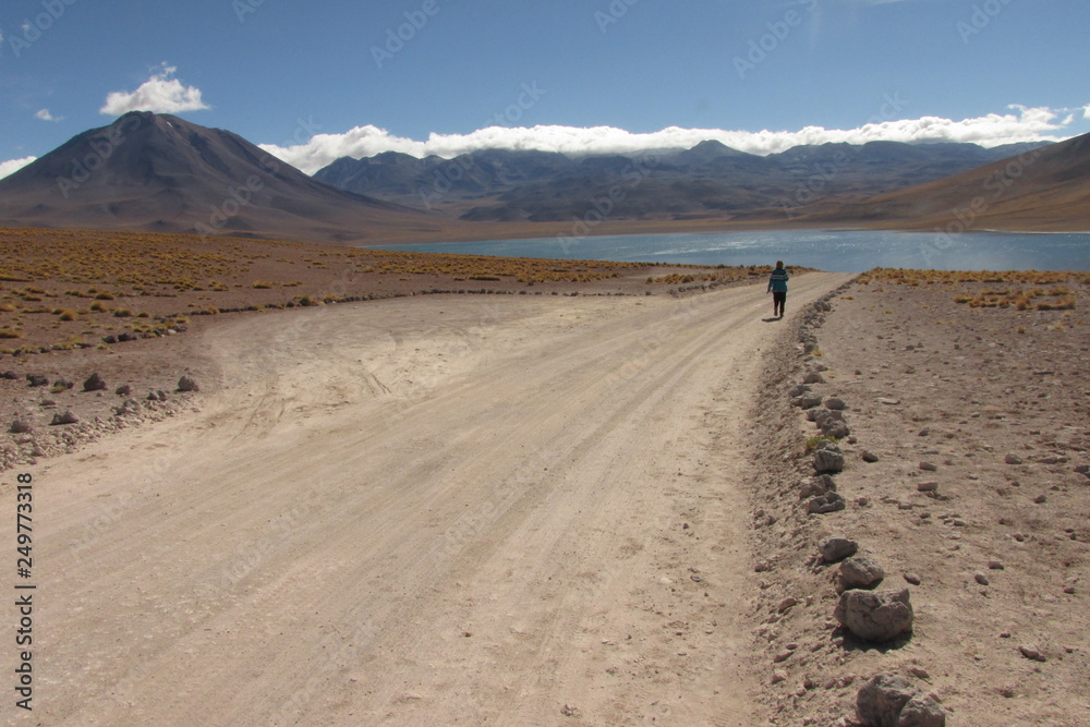 Bolivia Chile Deserto Beleza Turismo Bolivia Chile Deserto Beleza Turismo