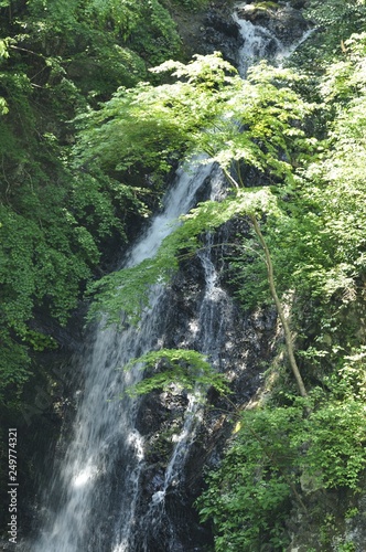 春の大沢の滝 © Green Cap 55