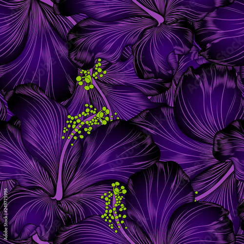 Seamless luxury pattern with hand-drawn tropical hibiscus flowers.