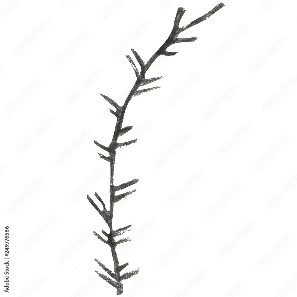 Fototapeta premium Line art of hand-drawn flora on the white isolated background. Flower pencil sketch.