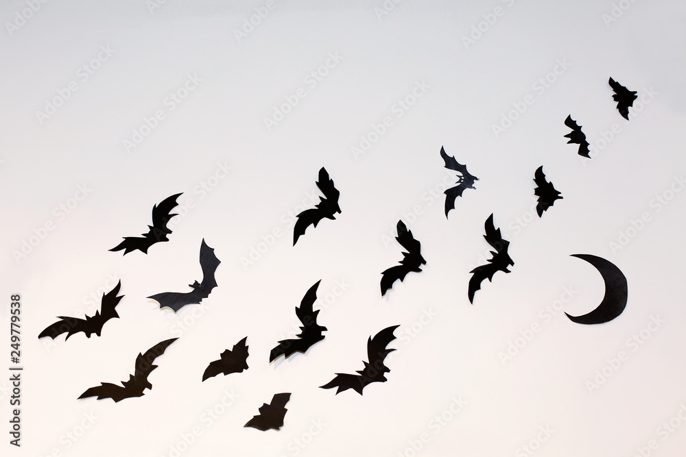 Halloween decoration and scary concept - black paper bats flying with moon wall white background